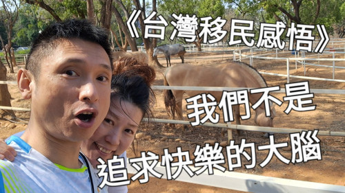 我們不是追求快樂的大腦
